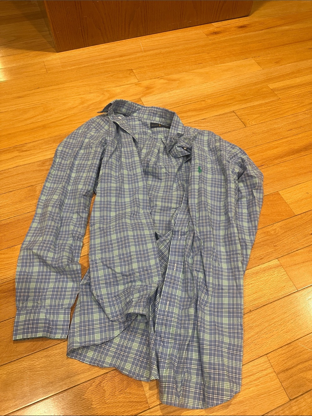 Polo by Ralph Lauren Blue and Green Plaid Button-Down Shirt